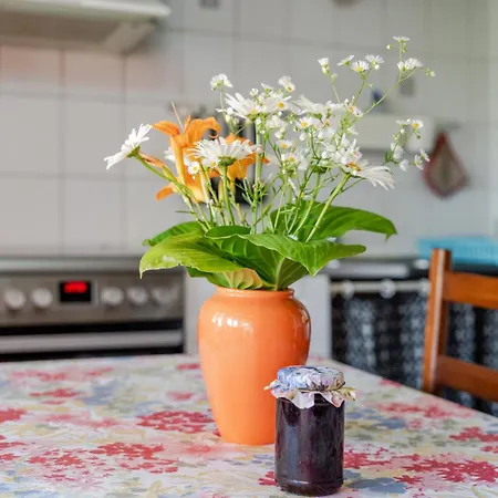 Apartmán - La Marguerite Issenhausen